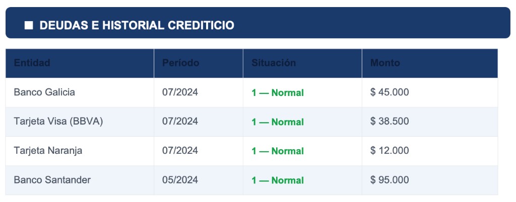 Ejemplo de informe: tabla de deudas e historial crediticio BCRA